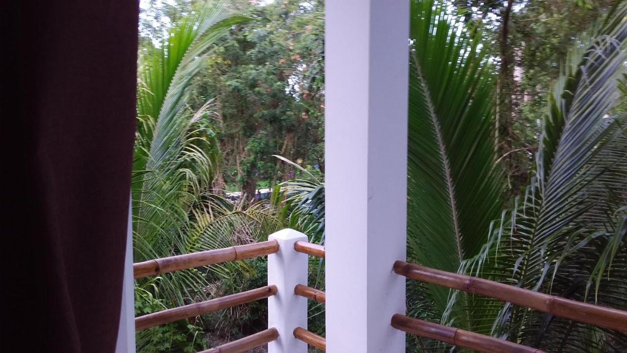 Mini Pini Bird Watching And Cenote Loft Villa Cozumel Kültér fotó