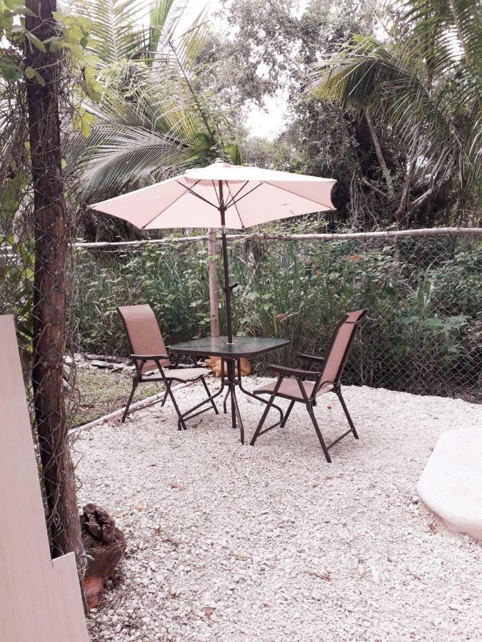 Mini Pini Bird Watching And Cenote Loft Villa Cozumel Kültér fotó