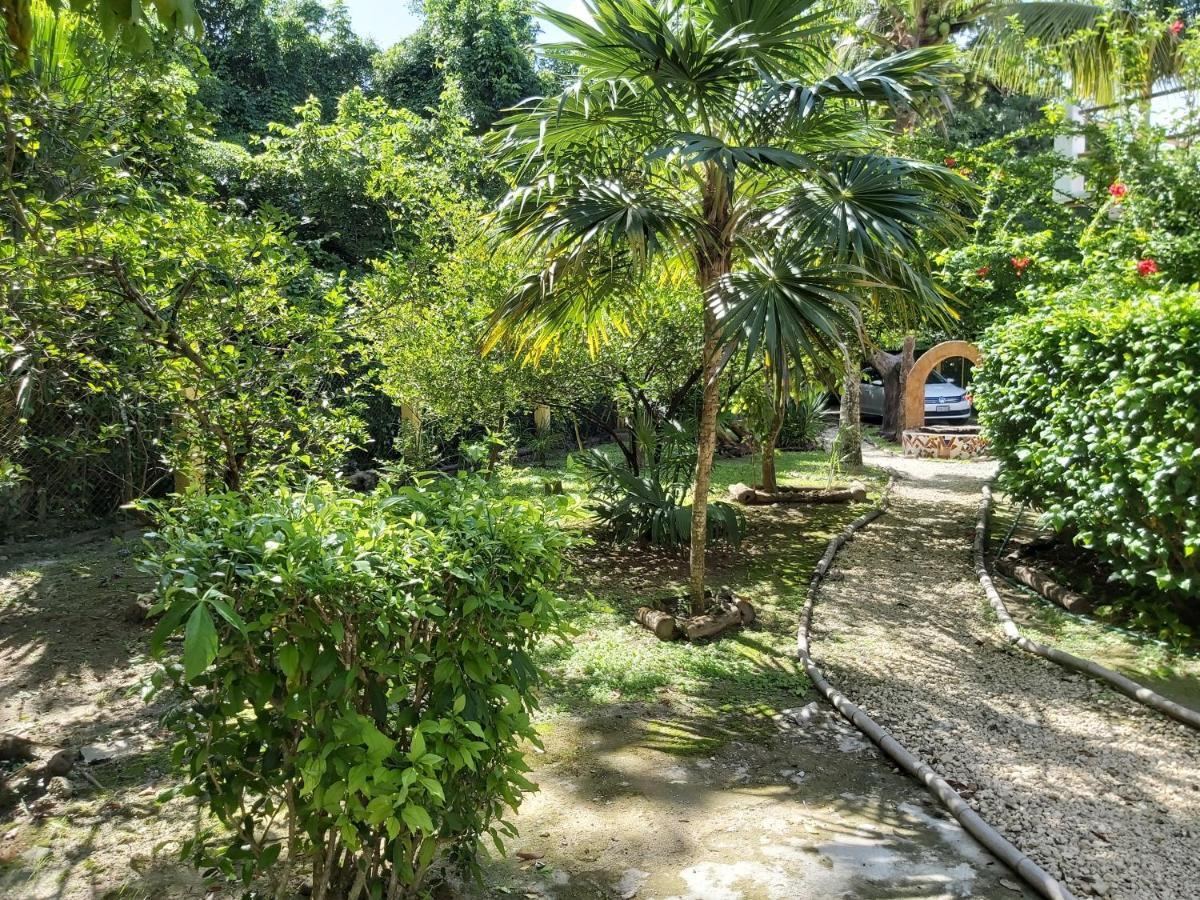 Mini Pini Bird Watching And Cenote Loft Villa Cozumel Kültér fotó