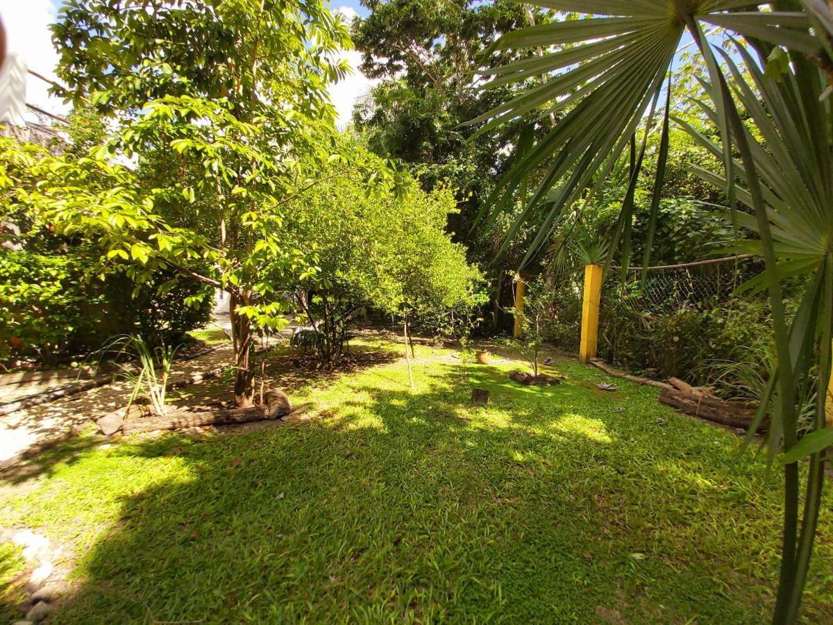 Mini Pini Bird Watching And Cenote Loft Villa Cozumel Kültér fotó